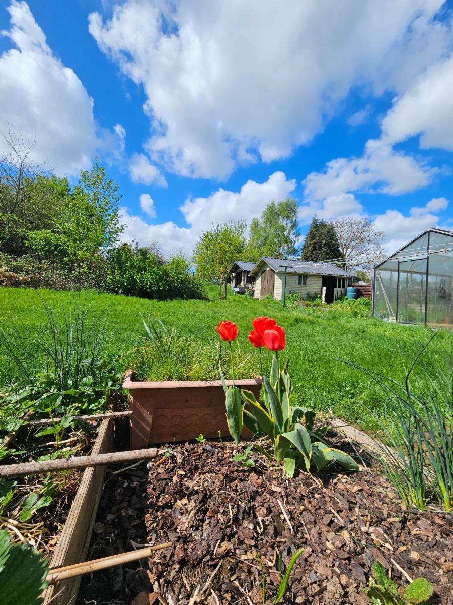 photo 7 du bien Authentique maison en pierres du pays à Felenne