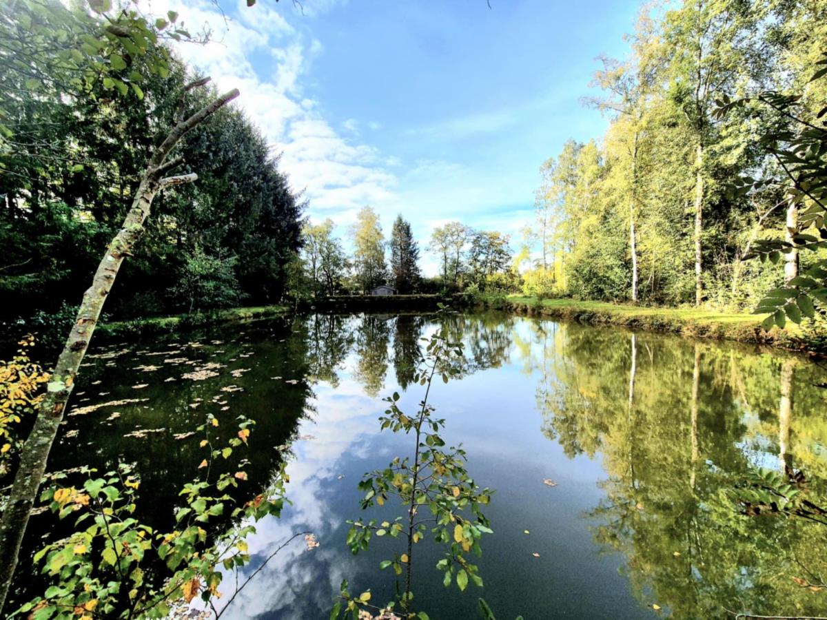 Terrain à vendre - Rue de la Tauminerie, 5660 Brûly