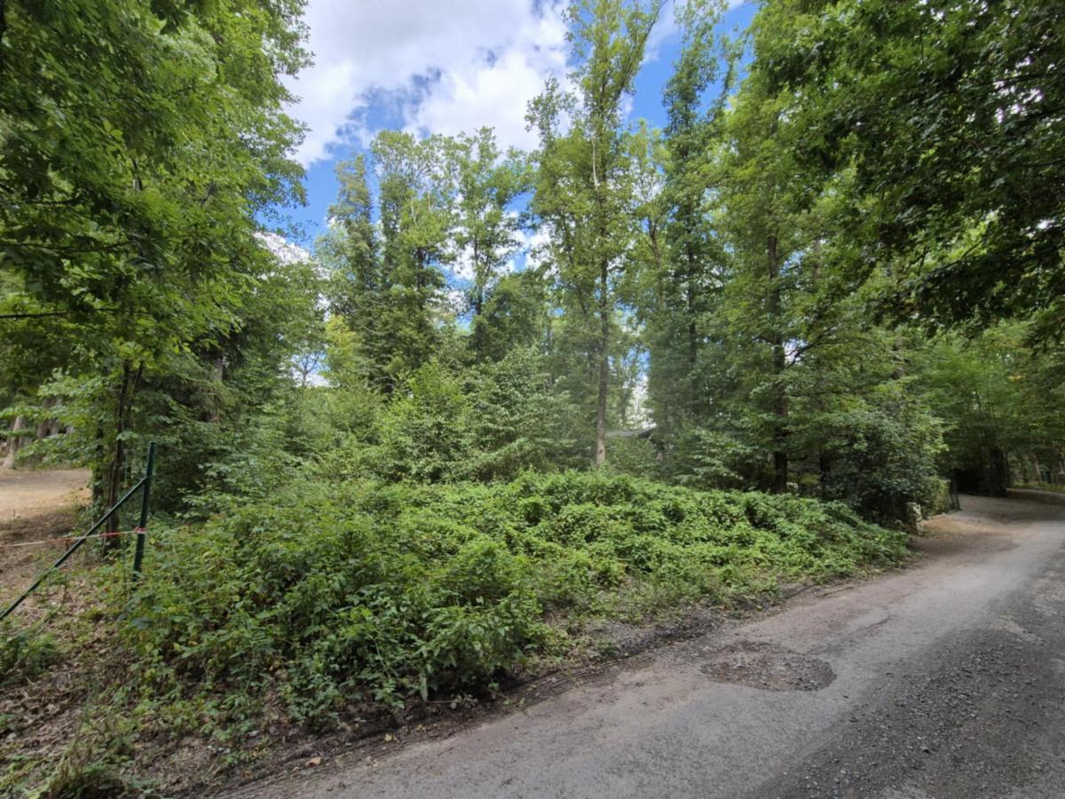 photo 1 du bien Terrain se trouvant dans un environnement résidentiel boisé