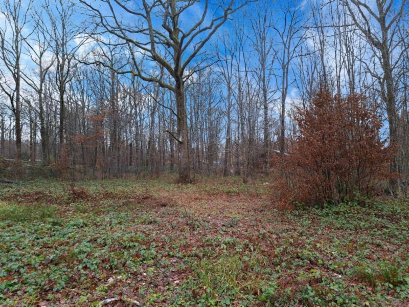 photo 9 du bien Villa de type plain-pied avec grand jardin