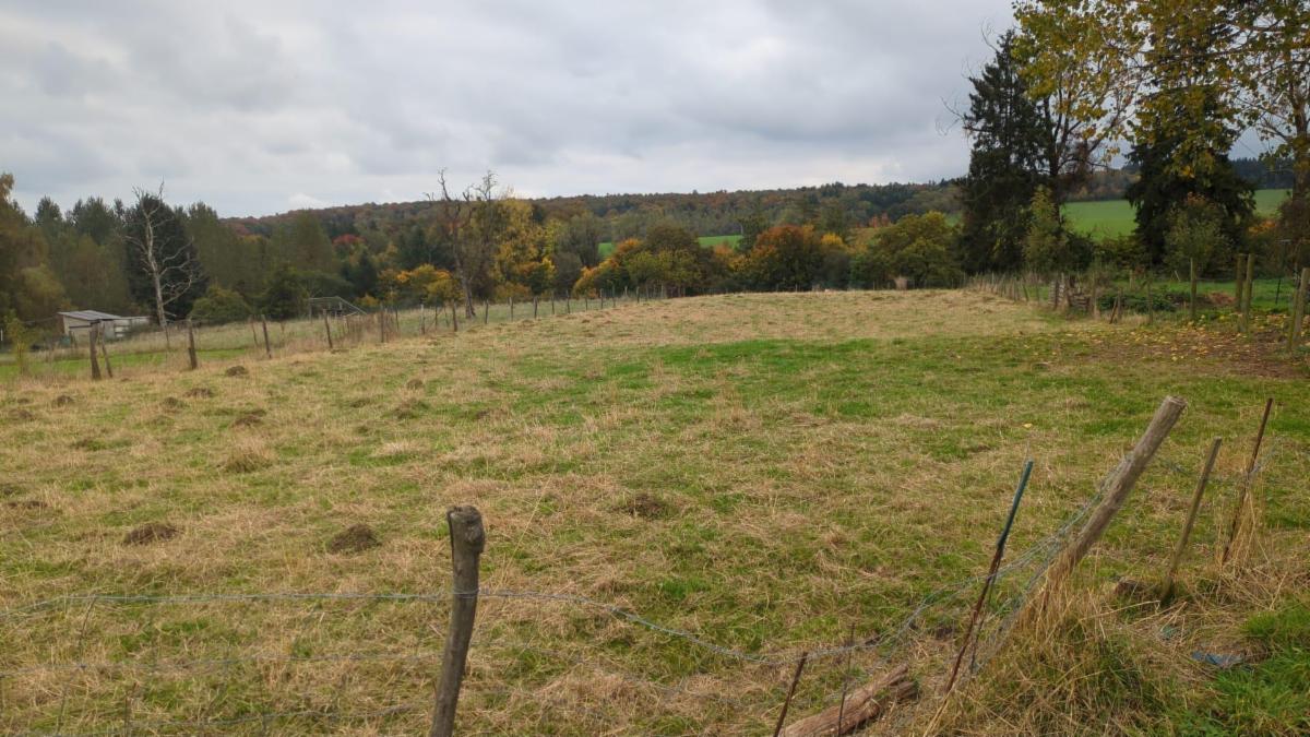 photo 3 du bien Grand terrain à bâtir 