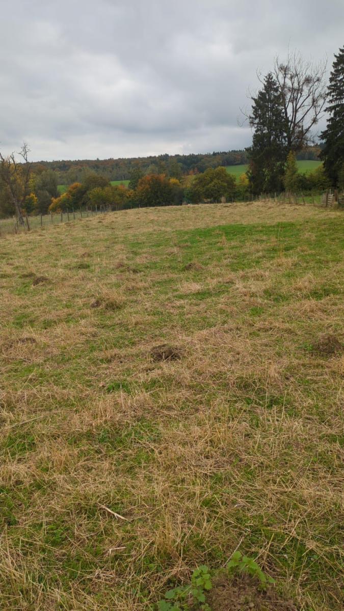 photo 4 du bien Grand terrain à bâtir 