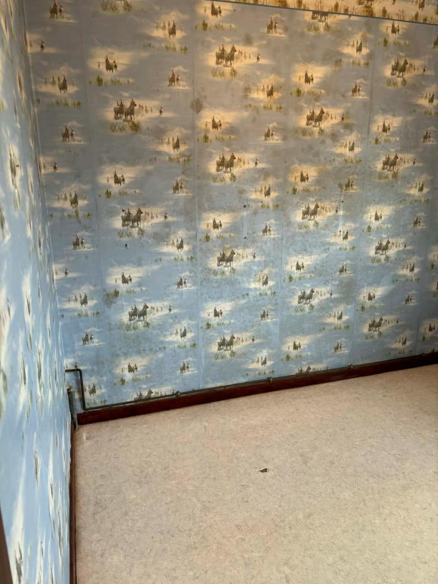 photo 10 du bien BELLE MAISON avec garage, jardin