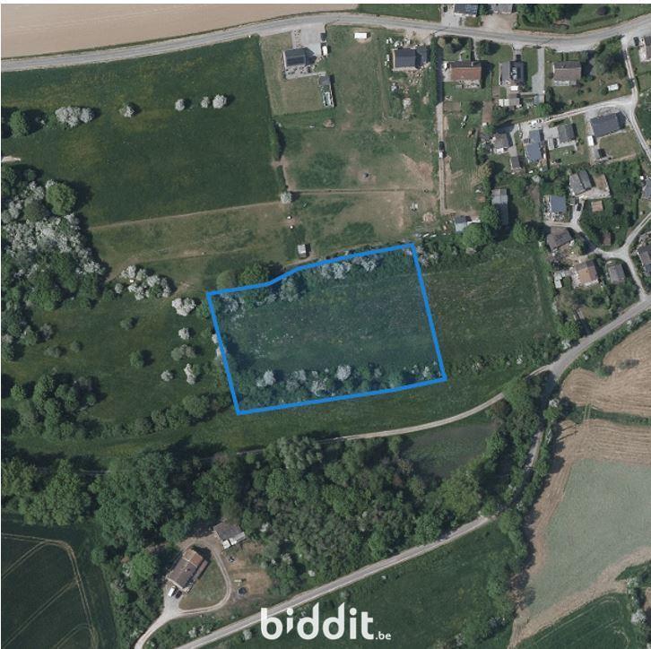 photo 1 du bien Pâture sise à Philippeville (Neuville)