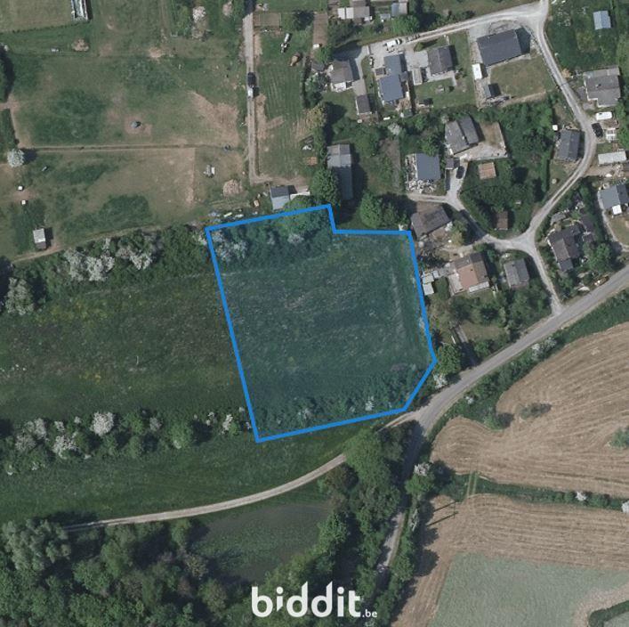 photo 2 du bien Pâture sise à Philippeville (Neuville)