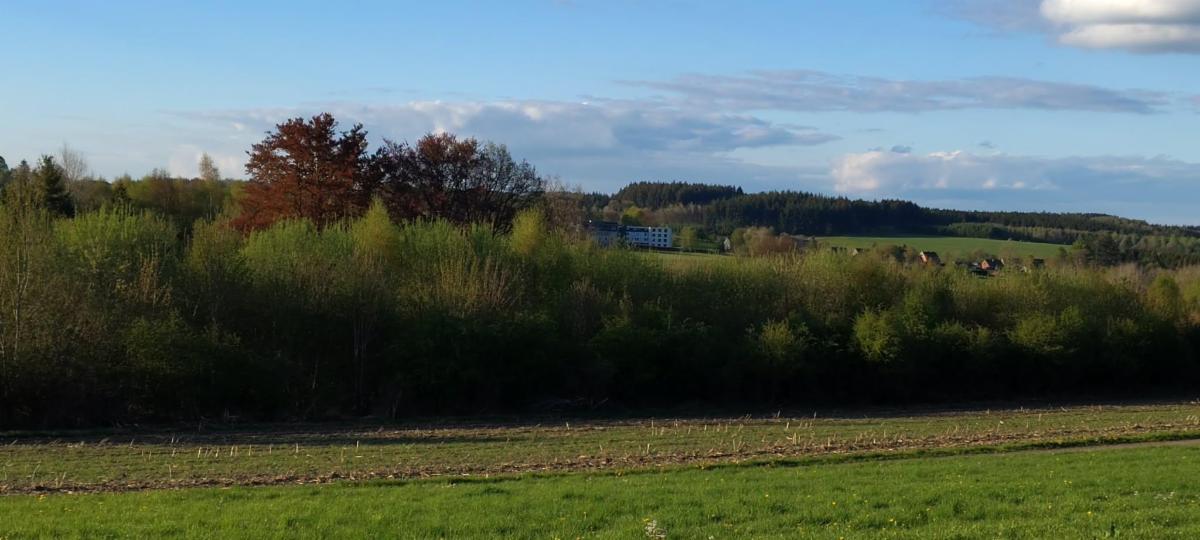photo 1 du bien Bois de 5 hectares avec étang à remettre en état