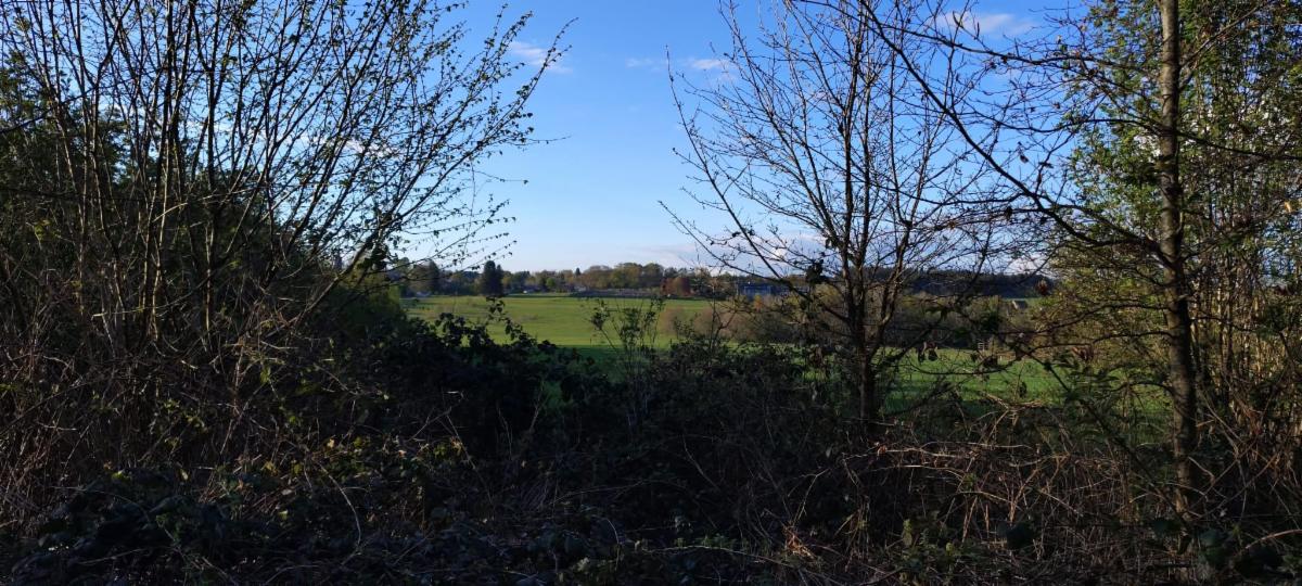 photo 2 du bien Bois de 5 hectares avec étang à remettre en état