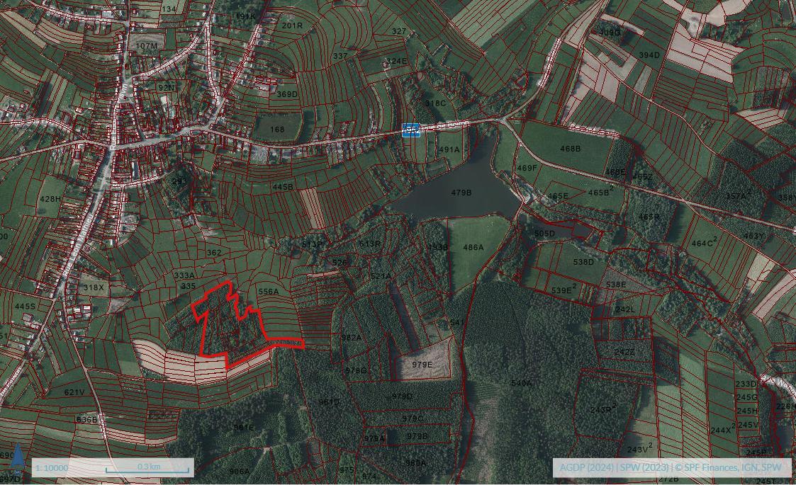 photo 3 du bien Bois de 5 hectares avec étang à remettre en état