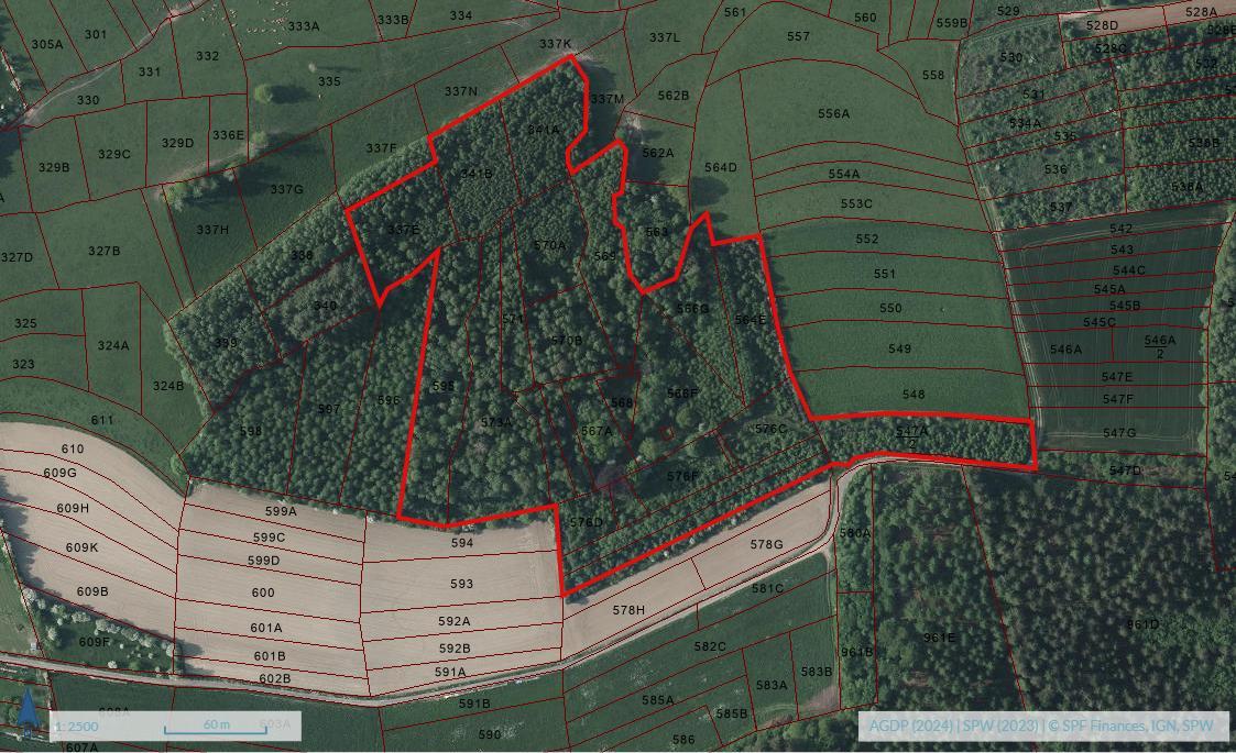 photo 5 du bien Bois de 5 hectares avec étang à remettre en état