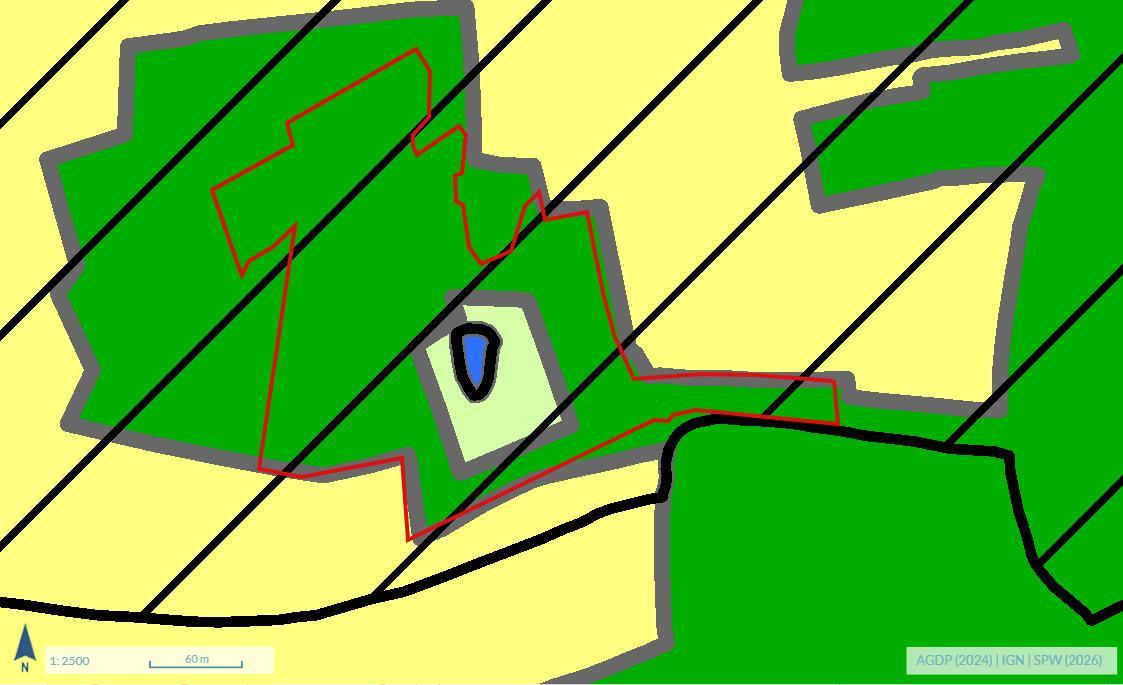 photo 6 du bien Bois de 5 hectares avec étang à remettre en état