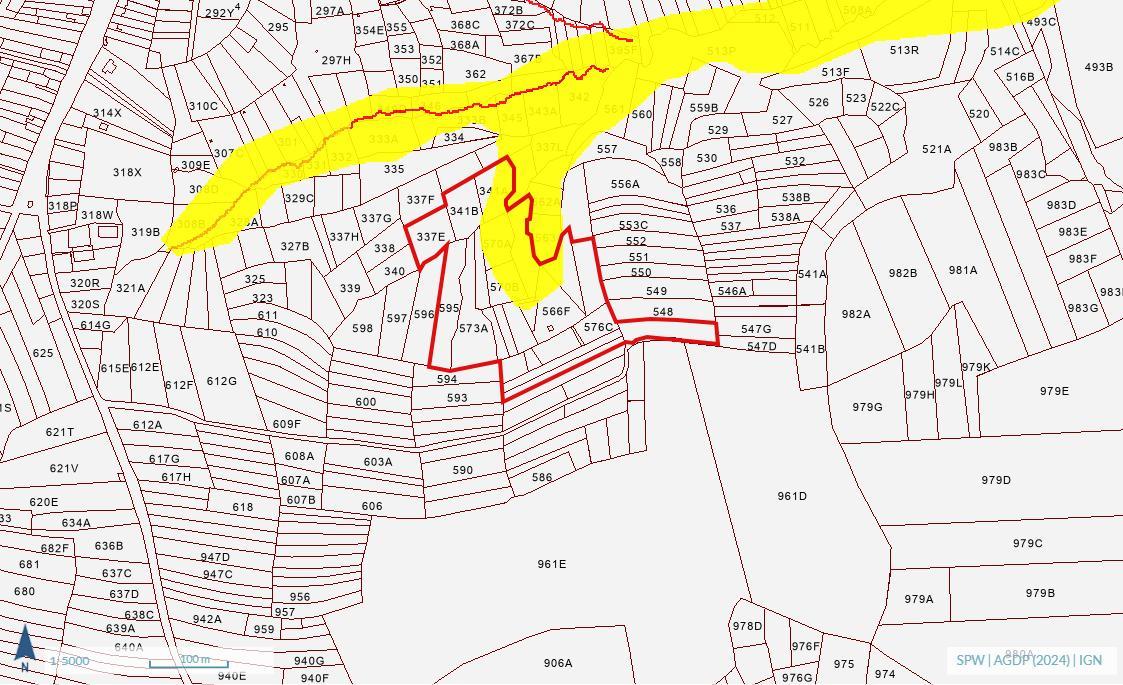 photo 7 du bien Bois de 5 hectares avec étang à remettre en état