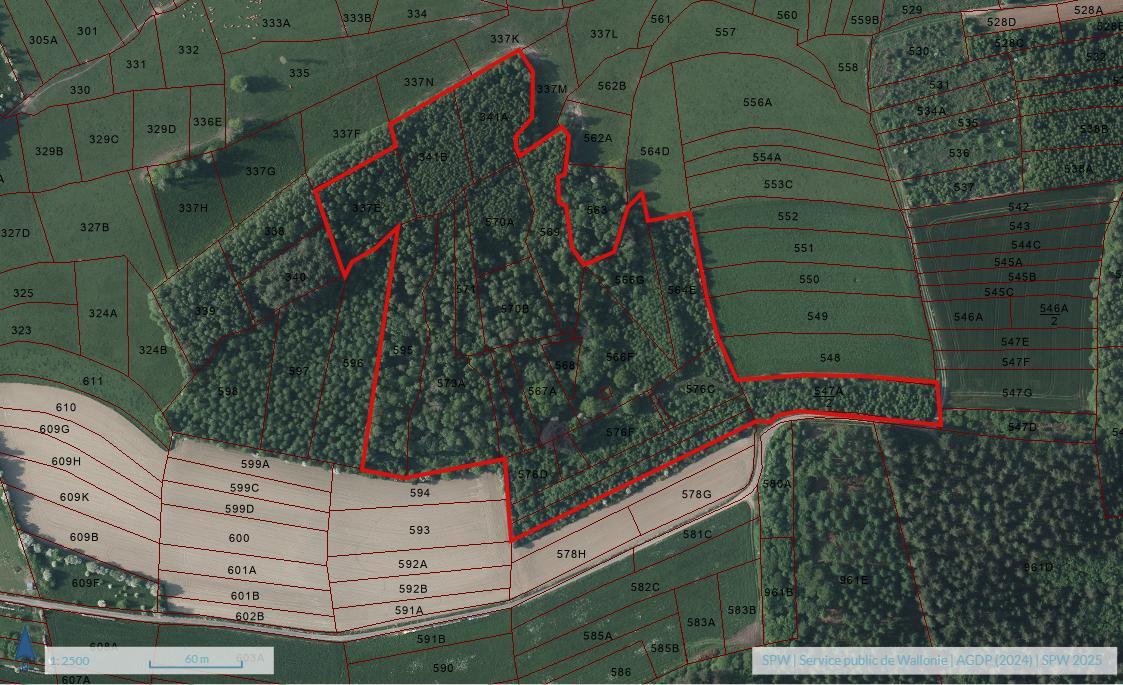 photo 8 du bien Bois de 5 hectares avec étang à remettre en état