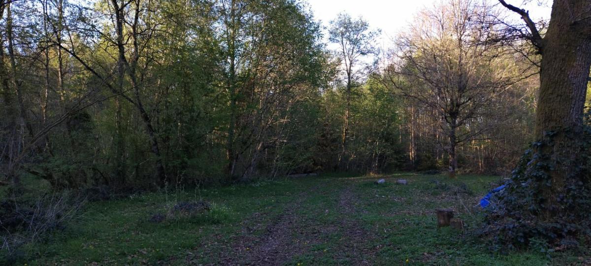 photo 19 du bien Bois de 5 hectares avec étang à remettre en état