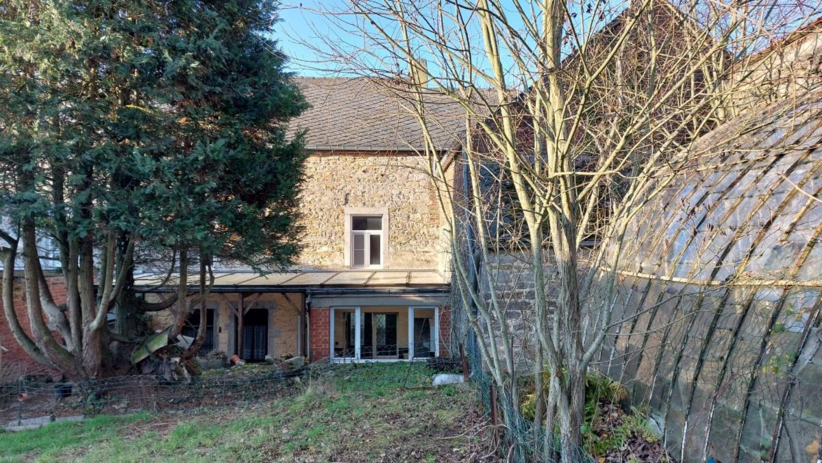 photo 2 du bien Maison de commerce avec maison,appartement,garage et jardin 