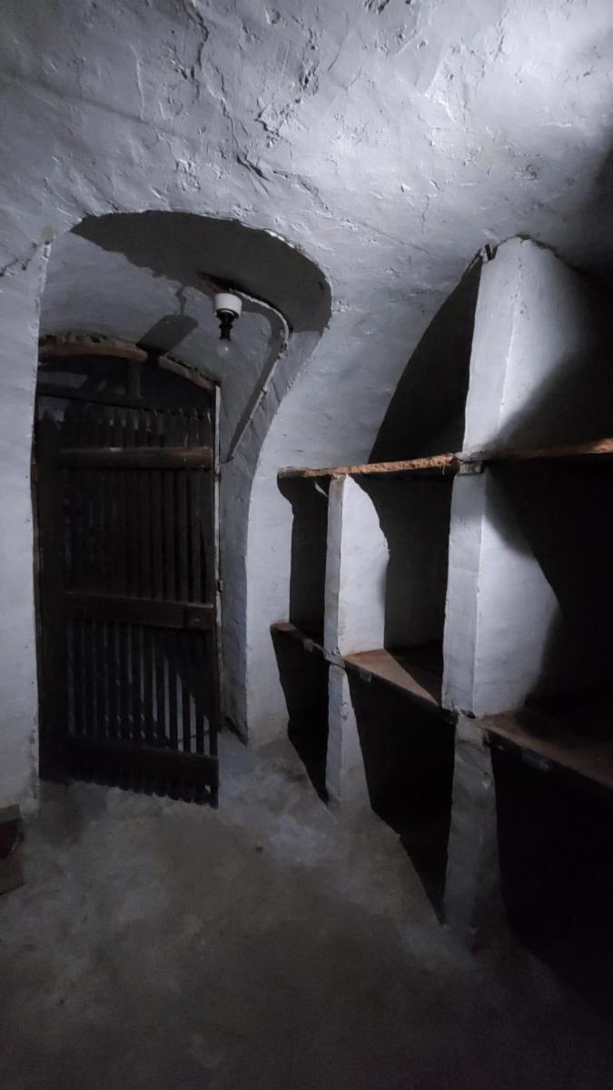 photo 4 du bien Maison de commerce avec maison,appartement,garage et jardin 