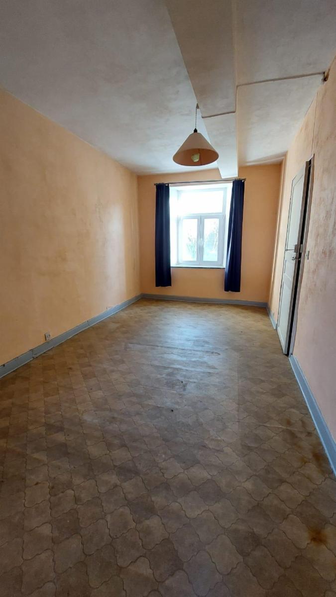 photo 15 du bien Maison de commerce avec maison,appartement,garage et jardin 