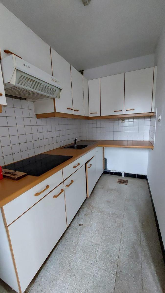 photo 21 du bien Maison de commerce avec maison,appartement,garage et jardin 