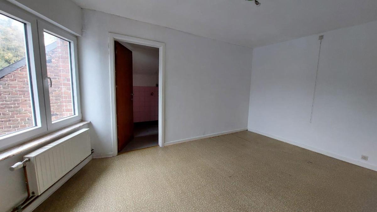 photo 23 du bien Maison de commerce avec maison,appartement,garage et jardin 