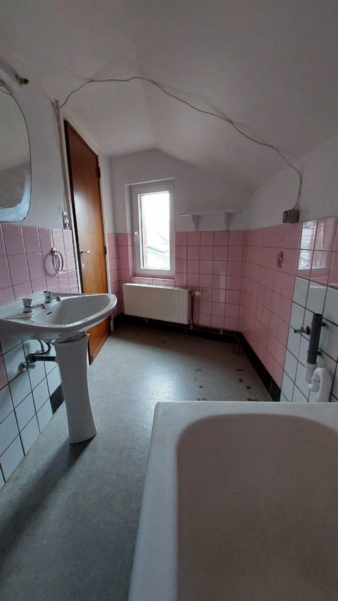 photo 24 du bien Maison de commerce avec maison,appartement,garage et jardin 