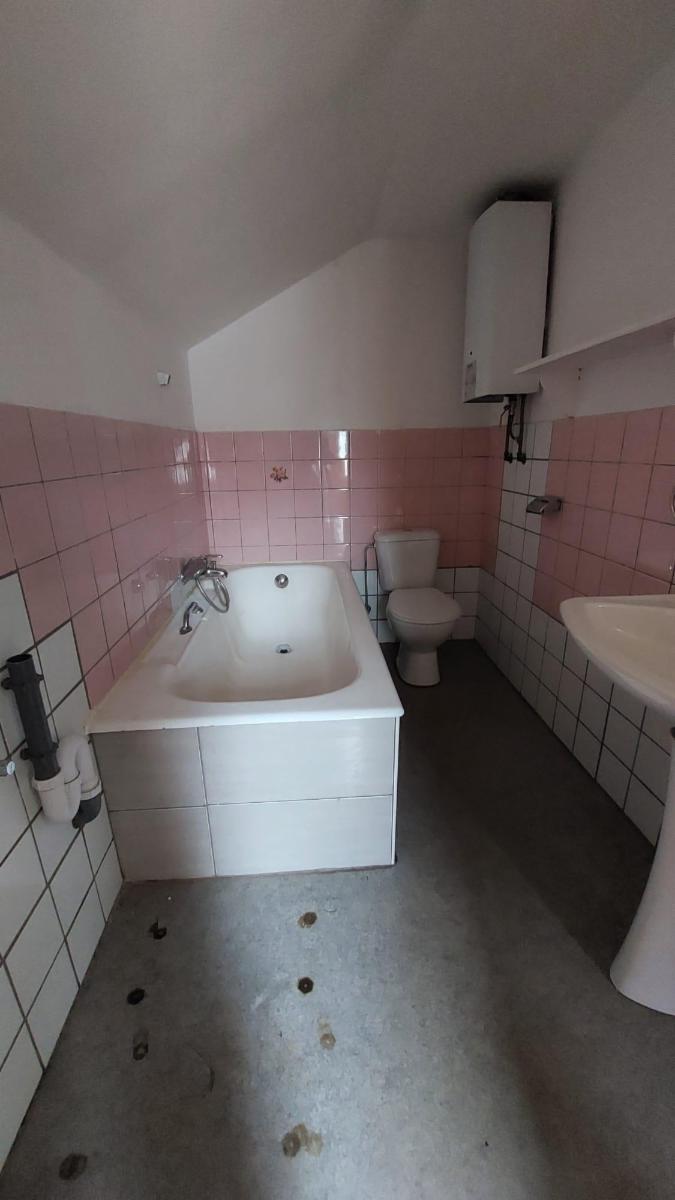 photo 25 du bien Maison de commerce avec maison,appartement,garage et jardin 