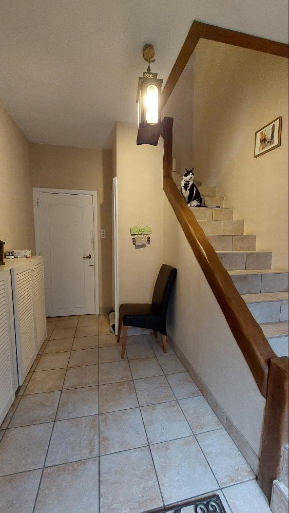 photo 13 du bien Maison 3 façades avec jardin et garage double sur 3 a 25 ca