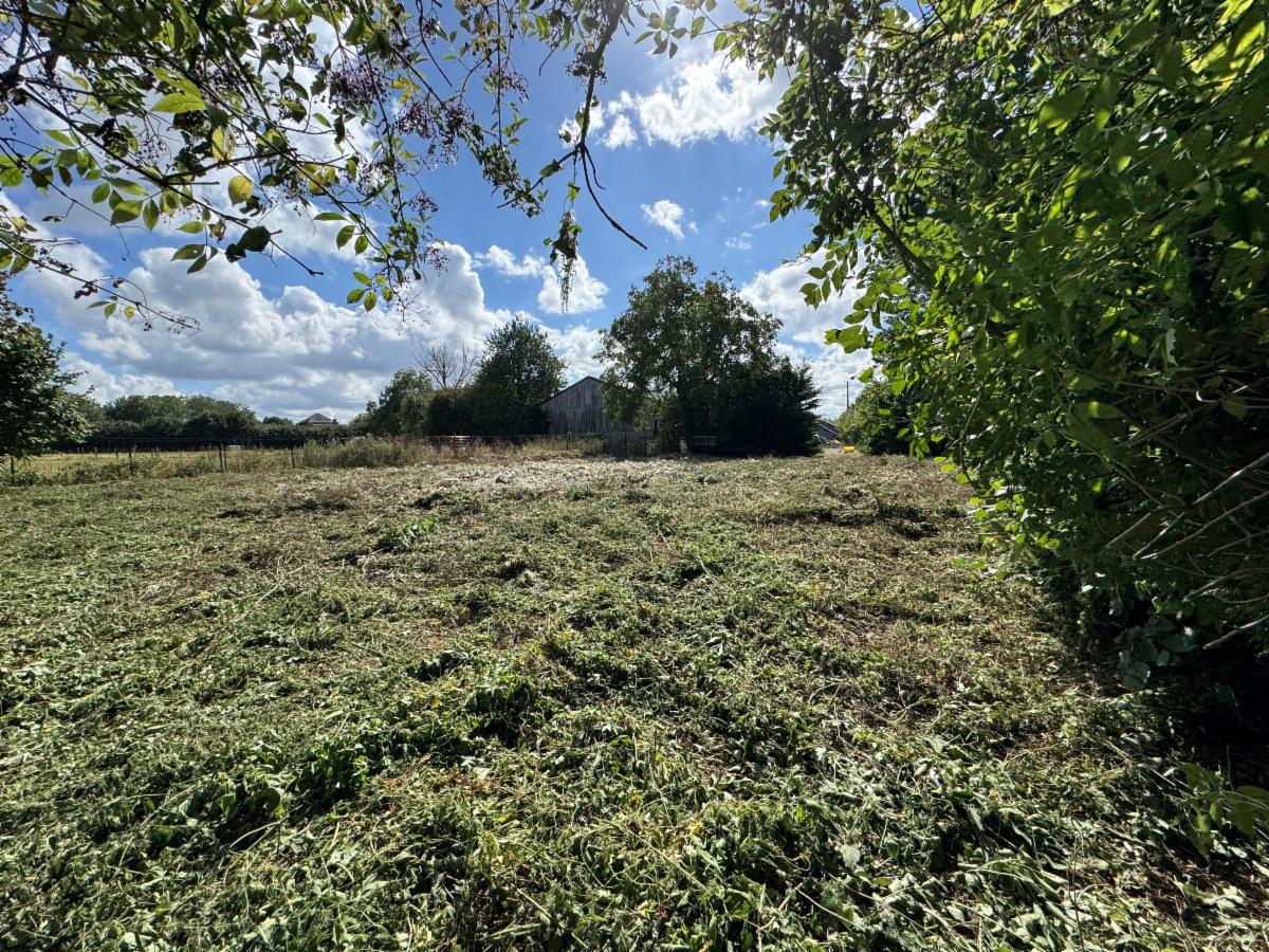 photo 2 du bien Joli terrain à bâtir - Acosse