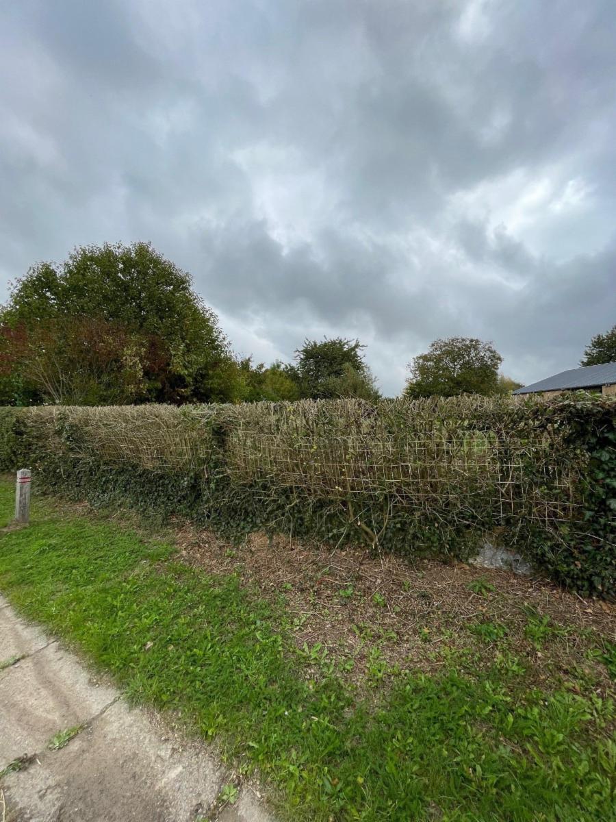 photo 6 du bien Joli terrain à bâtir - Acosse