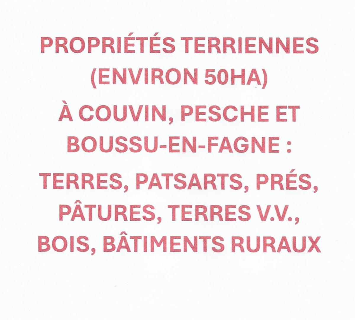 Terrain à vendre - 5660 Couvin