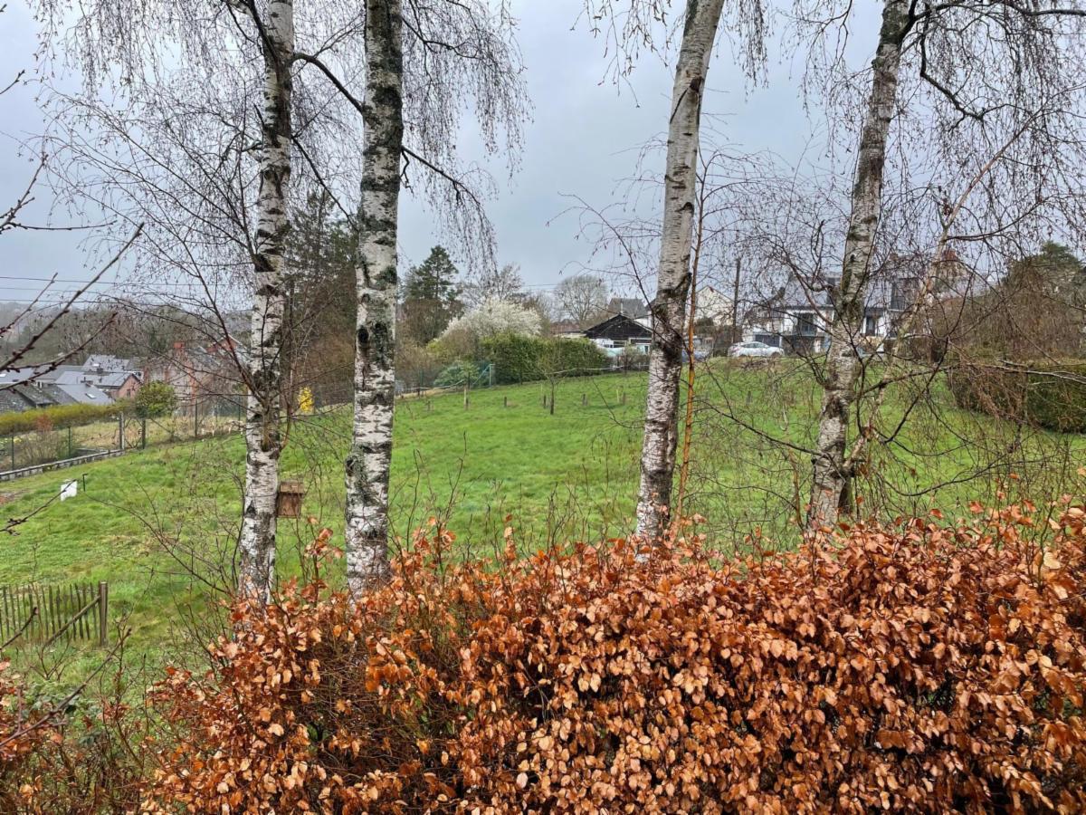 Terrain à vendre - Rue des Juifs, 5660 Couvin