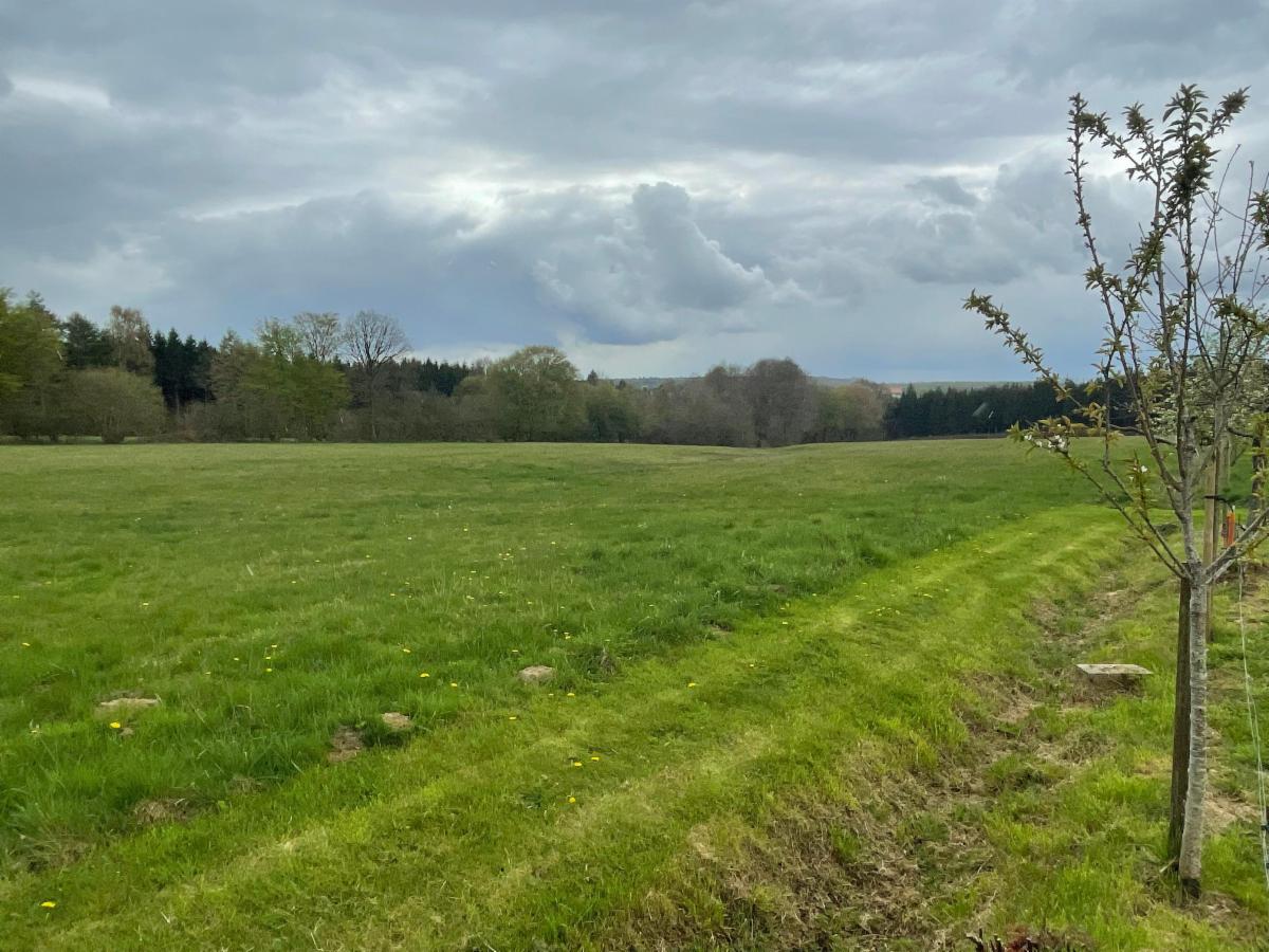 photo 28 du bien Fermette avec terrain libre d'occupation