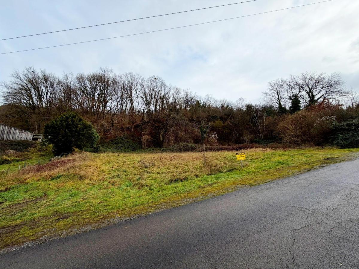 Terrain à vendre - Rue de la Carrière, 5543 Hastière