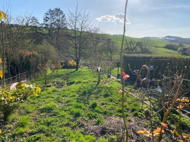 photo 2 du bien Maison 3 chambres avec jardin et terrasse