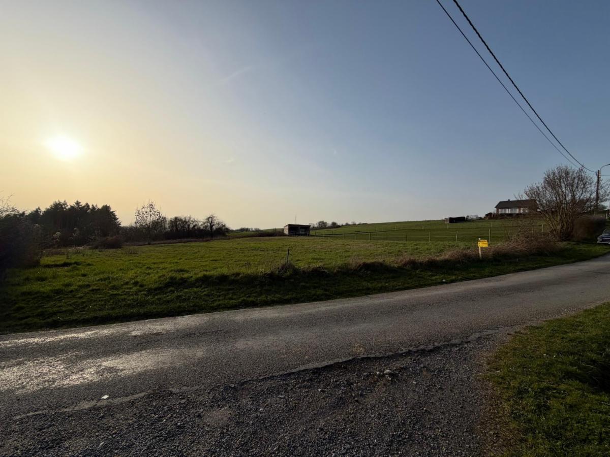 Terrain à vendre - Rue de la Sipêche, 5570 Feschaux