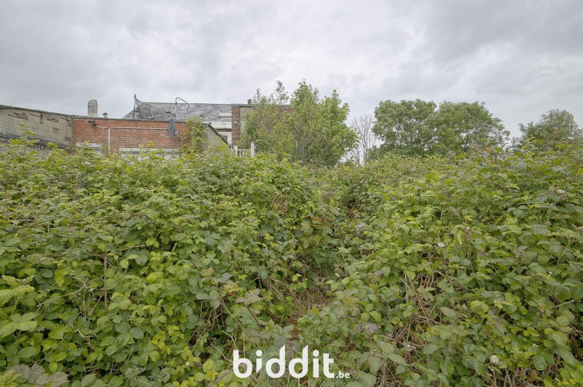 photo 6 du bien Immeuble de rapport – commerce + appartement déjà loués 