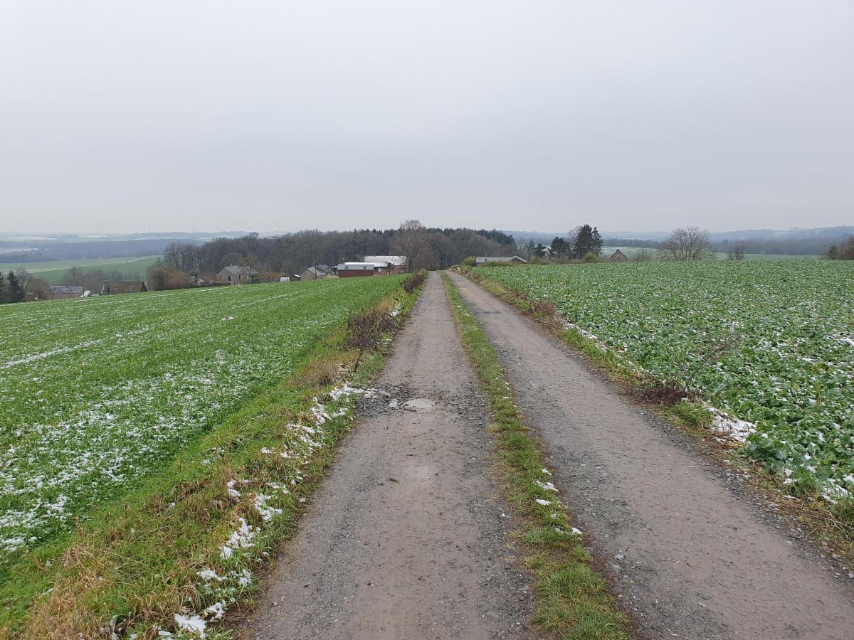Terrain à vendre - Rue des Rosticheux, 5590 Sovet