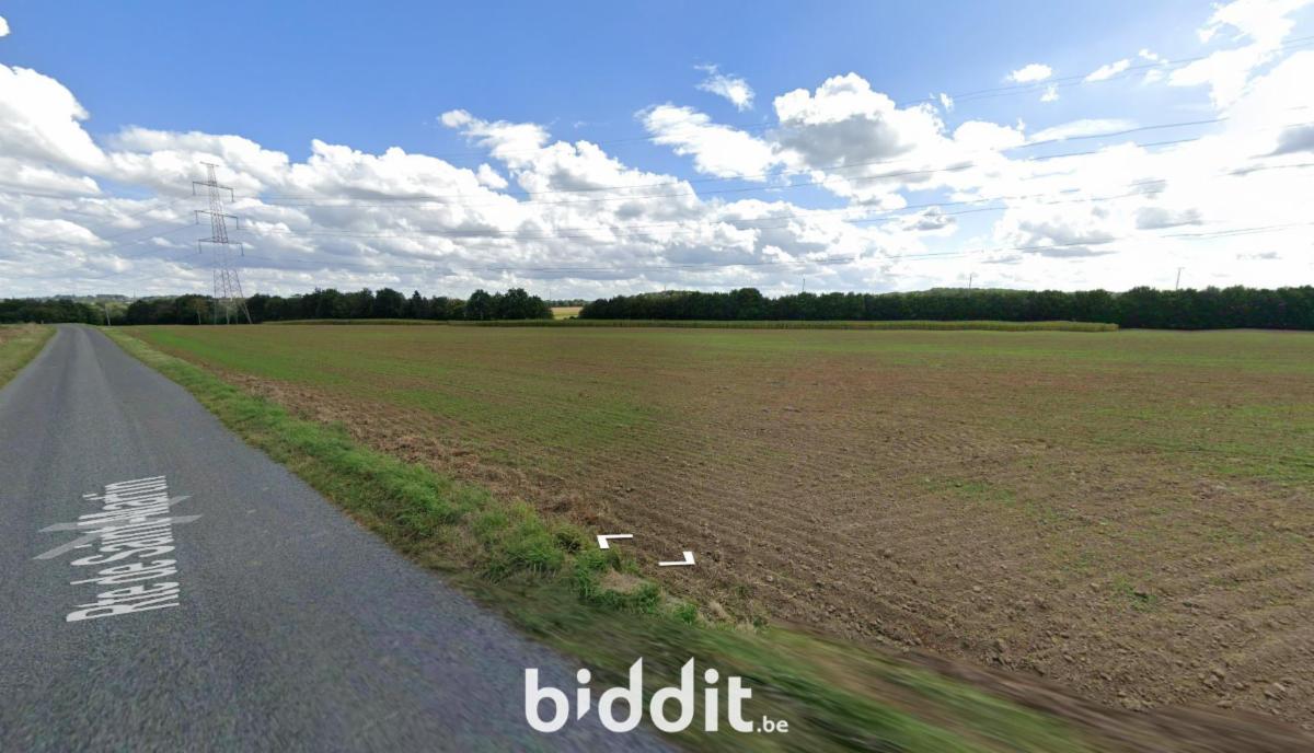 photo 1 du bien Ensemble de deux terres libres 