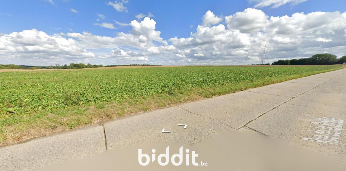 photo 2 du bien Ensemble de deux terres libres 