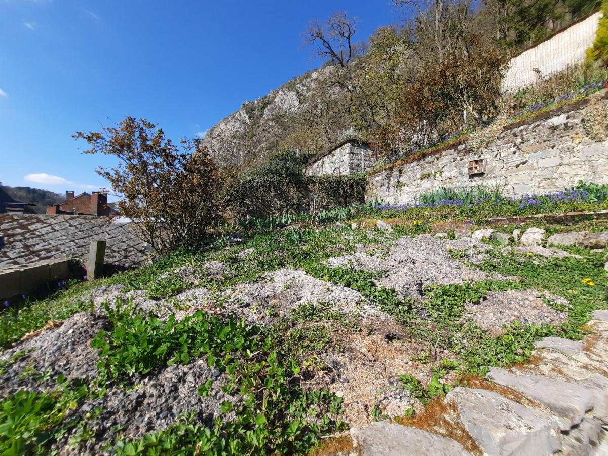 photo 16 du bien Maison 4 chambres avec jardin à Dinant