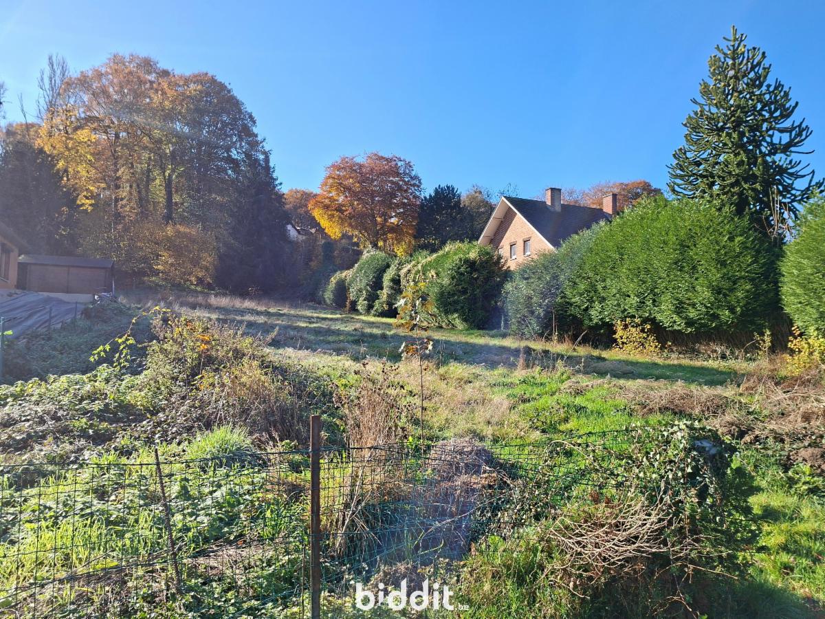 photo 5 du bien Magnifique terrain à bâtir à vendre !
