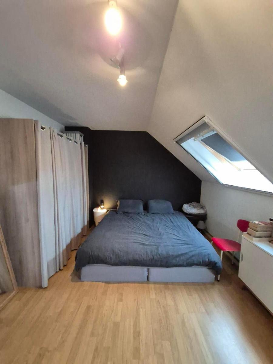 photo 7 du bien À vendre, maison d'habitation moderne avec jardin