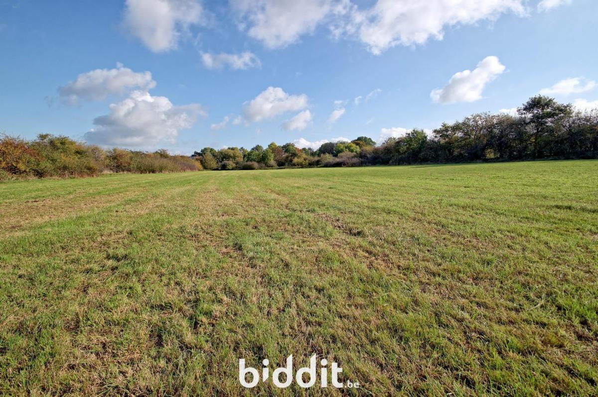 Terrain enchères BIDDIT - Froidebise, 5300 Coutisse