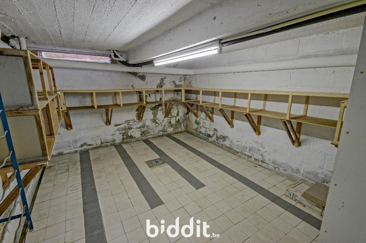 photo 17 du bien Maison 4/5 chambres avec grand jardin, garage et potentiel